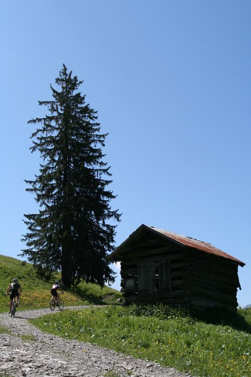 Haus Alpenecho Hotel Mittelberg Exterior photo